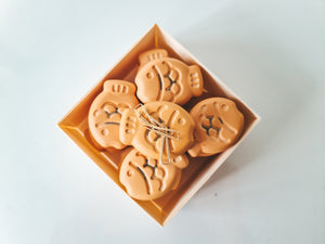 Taiyaki Fish Magnets