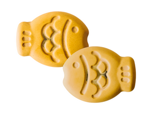 Taiyaki Fish Magnets